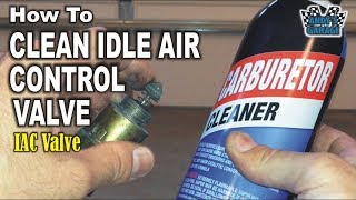 How To Clean Idle Air Control IAC Valve Andy’s Garage Episode  73 [upl. by Neb]