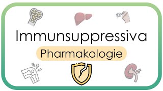 Immunsuppressiva – Pharmakologie – Calcineurininhibitoren Azathioprin MTX MMF Biologicals CYP [upl. by Aissert]