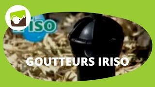 Le Goutteur IRISO un arrosage goutte à goutte par bouteille  malin et économique [upl. by Ullyot]