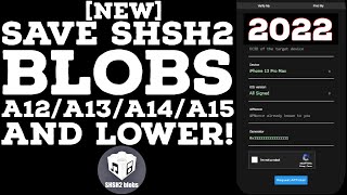 How to save SHSH blobs A15A14A13A12 amp lower  Windows Method  SHSH Blobs A13  All iDevices2022 [upl. by Landri456]