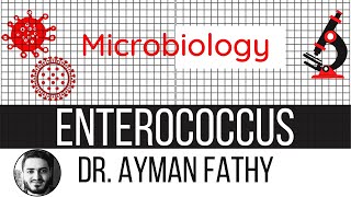 Enterococcus  USMLE Step 1 Microbiology  Dr Ayman Fathy [upl. by Arutnev]