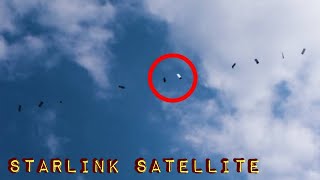 Starlink Satellites train seen in the sky LOW PASSE  Musk SpaceX [upl. by Lari]