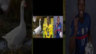 GOOSE MOUKOKO MOUSSA SISSOKO🥶🥶🥶🥶🥶 [upl. by Ribaudo]