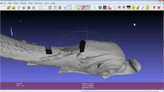 Cleaning Triangles and Vertices Removal [upl. by Ocinom424]