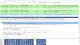 Wireshark Lab Ethernet and ARP by Ruslan Glybinavi [upl. by Attaynik]