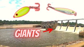 How to Fish For Spillway Catfish With Lead Spoons [upl. by Dominic]