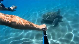 Snorkelling on Zakynthos 2015 Laganas beach Caretta Caretta [upl. by Maier]