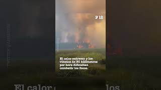 Incendios en Corrientes ya se quemaron más de 3 mil hectáreas [upl. by Ecreip]