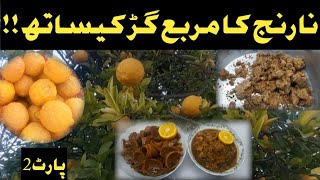 Naranj ke chilky ka murabba  نارج کے چھلکے کا مربع  Tangerine Peel Jam  How to make jam [upl. by Narot]