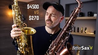 Cheapest Sax on Amazon VS My Professional Alto Saxophone [upl. by Anujra721]