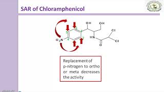 SAR of Chloramphenicol antibiotic [upl. by Lorena]