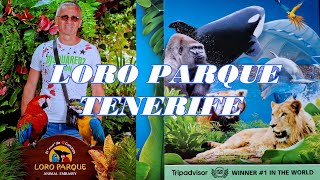 Loro Parque  Tenerife [upl. by Schacker]