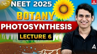 Photosynthesis in Higher Plants Class 11 NEET 2025  Prarambh Series  NEET Botany [upl. by Atnauqal]