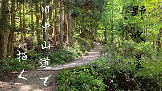 野水墨 旧中山道で描く。 sumie journey Painting in old Nakasendo [upl. by Flossie567]