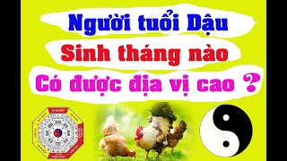 Người tuổi Dậu sinh tháng nào thì có thể đạt được địa vị cao kinh tế vững chắc trong xã hội [upl. by Ambrose]