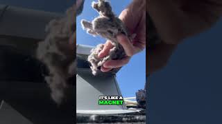 Shocking Dryer Vent Roof Vent Clog How to Fix It dryer [upl. by Trebron604]