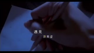 孫燕姿 Sun YanZi  遇見 Encounter official 官方完整版MV [upl. by Nashoma339]