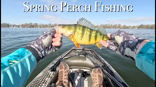 Spring Perch Fishing Lake Simcoe 2  New Bait [upl. by Nuri]