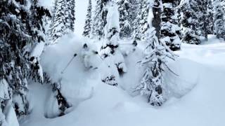 THIS IS POWDER SKIING HD [upl. by September459]