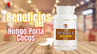 Descubre los Poderosos ✔️ Beneficios del Hongo Poria Cocos de DXN para tu Salud [upl. by Egidio]