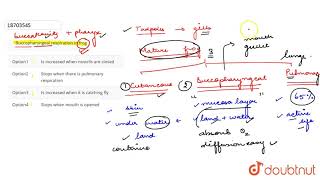 Buccopharyngeal respiration in frog [upl. by Trixie]