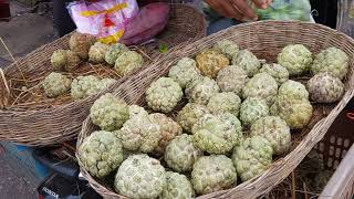 Custard Apples Annona squamosa [upl. by Chapell]