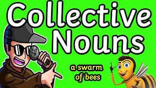 Collective Nouns  Rap Song [upl. by Eidur]