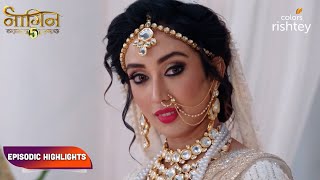 Naagin S5  नागिन S5  Episodic Highlights  Ep 40  42 [upl. by Harpole]