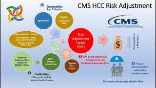 HCC Risk Score Calculator 2020 [upl. by Sehguh]