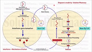 Topic 46 Antiviral Drugs  Interferon  Mechanism of Action  Interferon In Viral Infection [upl. by Nelac]