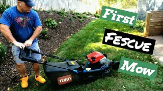 Mowing The New Fescue Sod For The First Time [upl. by Naimerej]