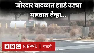 Tumbleweed Viral Video  जोरदार वादळ आलं आणि झाडंझुडपं उड्या मारायला लागली तेव्हा… [upl. by Hoban]