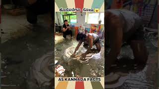 Amazing Painting Fact Video  kannada facts karnataka amazing youtubeshorts trendingshorts [upl. by Enajyram]