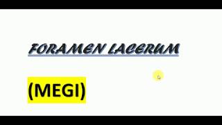 foramen lacerummbbs mnemonics [upl. by Mackie423]