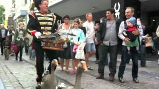 Imperial Geese Army Marching into Ghent Belgium [upl. by Eelirem180]