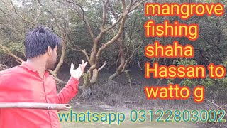 mangroves fishing from shsha hassan to watto g  whatsapp  03122803002 Shakeelfishingfun [upl. by Sido]