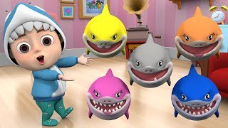 Baby Shark 🦈 Baby shark family Kids song amp nursery rhymes baby song baby shark song dance [upl. by Yup]