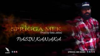 Sprigga Mek  PASIN KANAKA Prod by Bata Jakes [upl. by Rebmak]