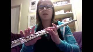 How to Play the Flute for Beginners [upl. by Flam]