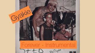 Gyakie  Forever Instrumental  Download link on description below👇🏾 [upl. by Alyse]