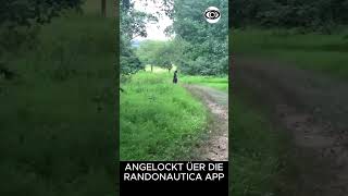 Mit Randonautica APP in den Park gelockt  IST DAS EIN DÄMON [upl. by Harness]