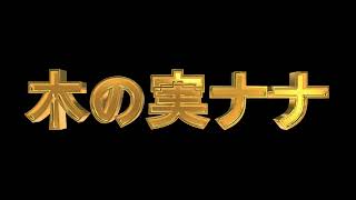 漫才「もしも木の実ナナの口がもうワンサイズ小さかったら歴史は変わっていただろう〜」 [upl. by Kassi935]