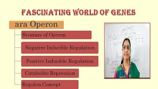ara operonStructure of OperonNegative RegulationPositive Regulationcatabolite repressionRegulon [upl. by Nahguav]