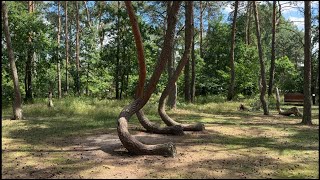 Szczecin Poland to the Crooked Forest [upl. by Anthea853]