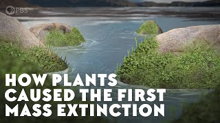 How Plants Caused the First Mass Extinction [upl. by Heater]