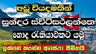 අඩු වියදමකින් 2024 ස්විට්සර්ලන්තයේ හොද රැකියාවකට යමු  new job offers in Switzerland for foreigners [upl. by Jillayne]