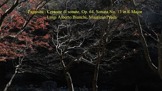 Paganini  Centone di sonate Op 64 Sonata No 13 in E Major [upl. by Vanderhoek]