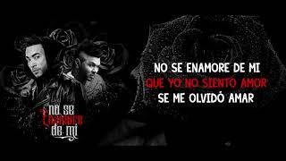 Don Omar amp Chacal  No Se Enamore De Mi Lyric Video [upl. by Eisseb]