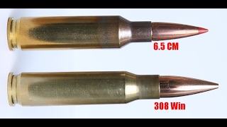 Can The 65 Creedmoor Replace the 308 Win As A SHTF Cartridge [upl. by Rimidalb533]