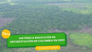 Histórica reducción de deforestación en Colombia en 2023 TvAgro por Juan Gonzalo Angel Restrepo [upl. by Home]